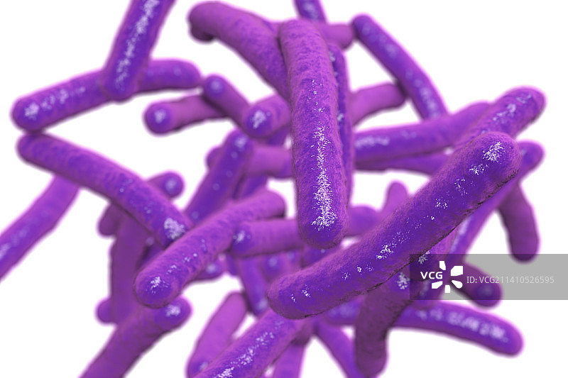 结核杆菌示意图图片素材