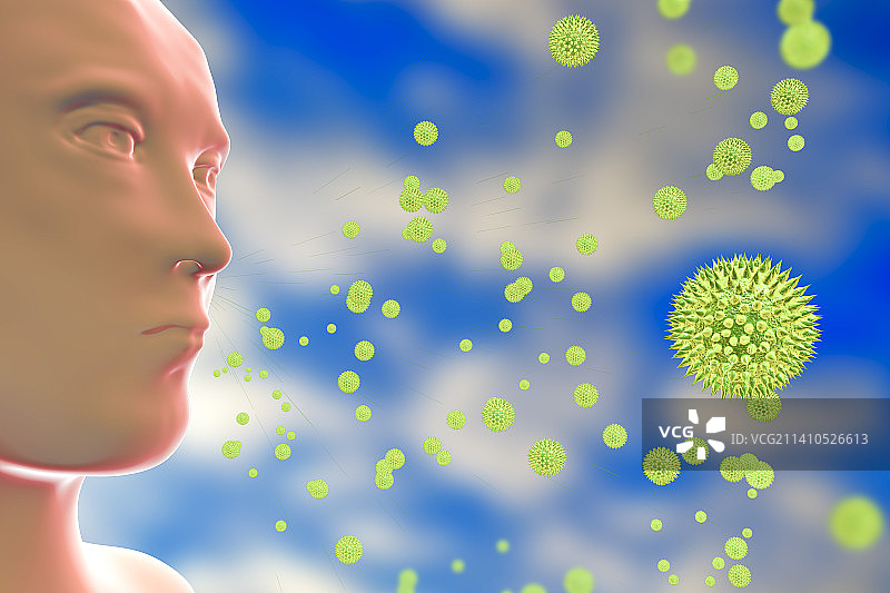 花粉热插图图片素材