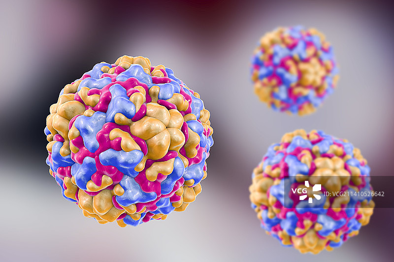 鼻病毒，图示图片素材