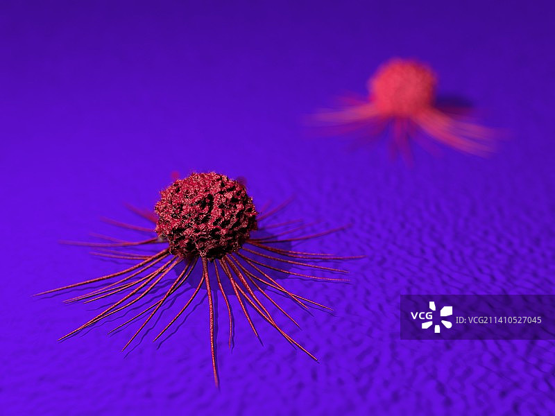 癌细胞，插图图片素材