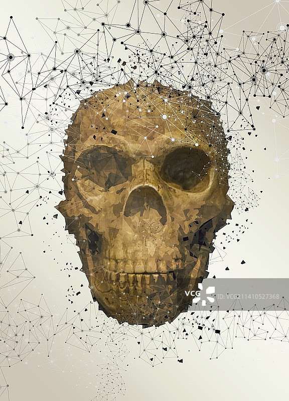 人类头骨，插图图片素材