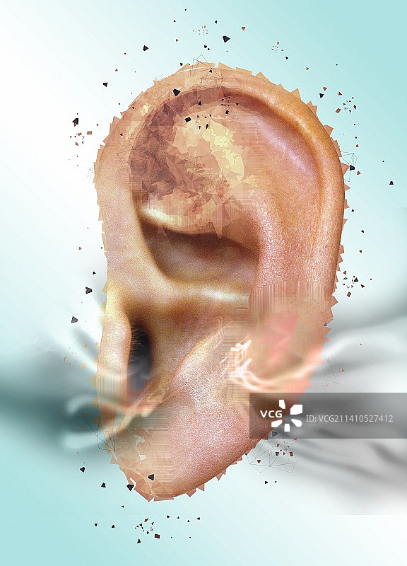 人耳，插图图片素材