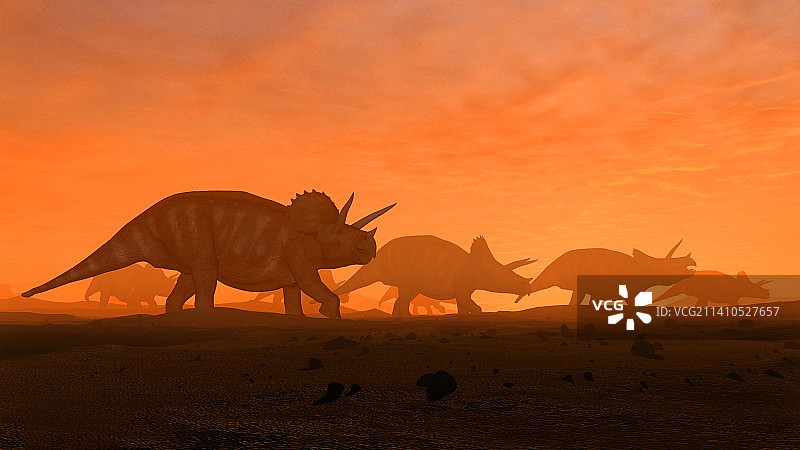 三角龙群插画图片素材