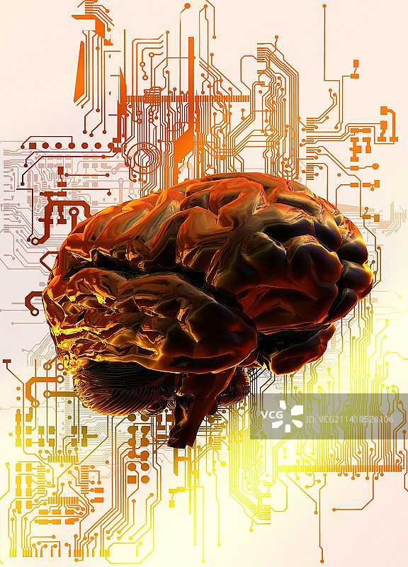 人脑与电路板插图图片素材