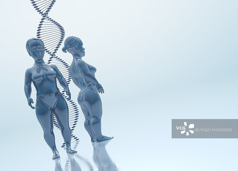 软骨发育不全与遗传学插图图片素材