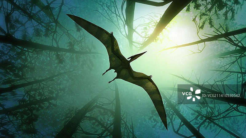 飞过森林的翼龙插画图片素材