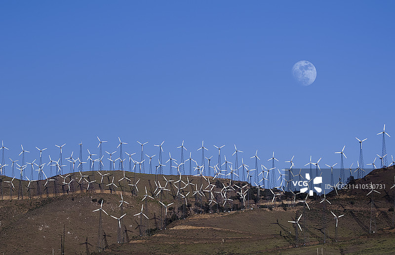 美国加利福尼亚州特哈查比的风力发电场图片素材