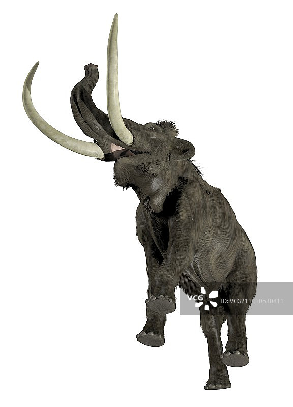 毛茸茸的猛犸象插画图片素材