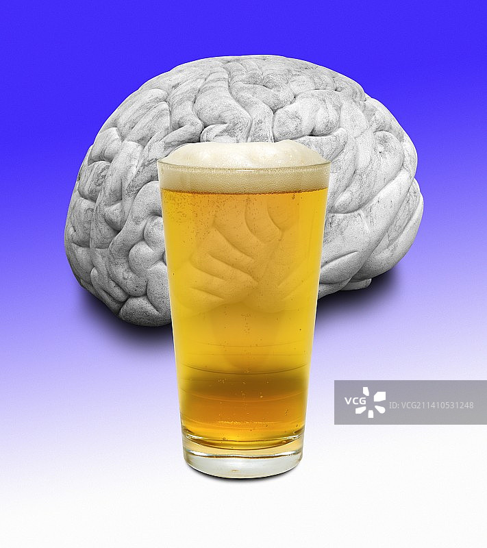 啤酒与大脑插画图片素材
