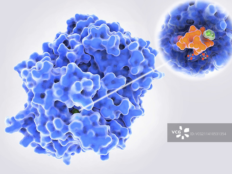 细菌脱卤酶示意图图片素材