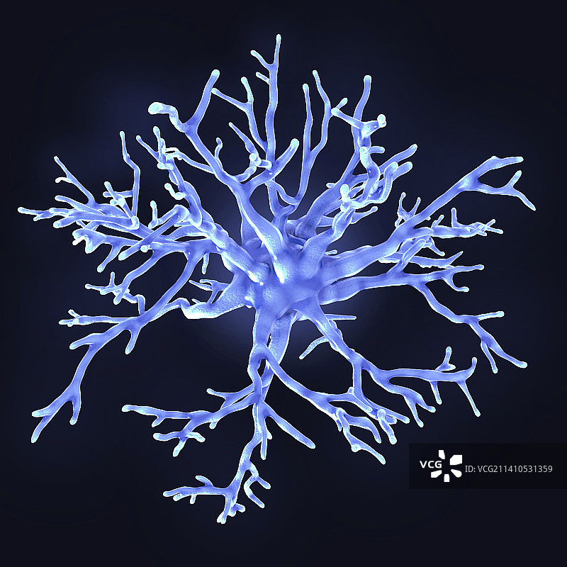 原生质星形胶质细胞插图图片素材
