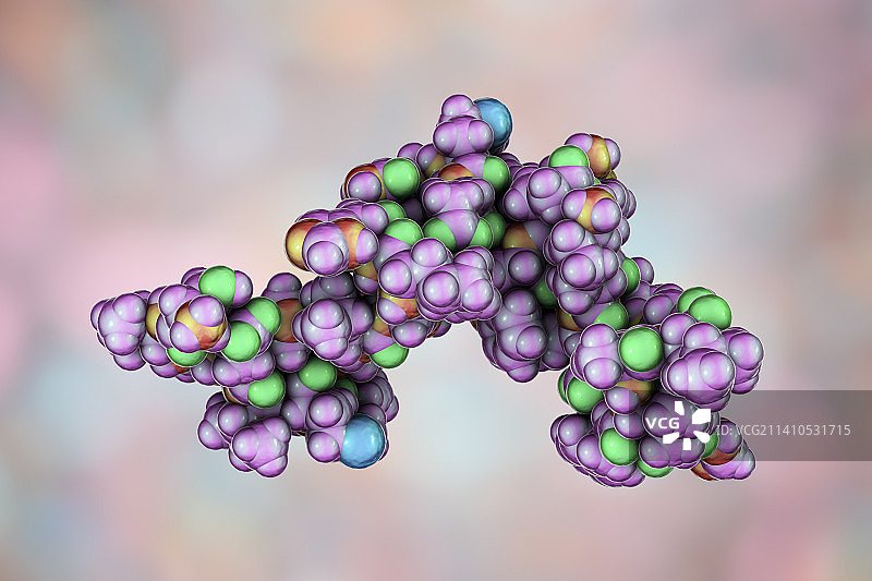 甲状旁腺激素分子模型图片素材