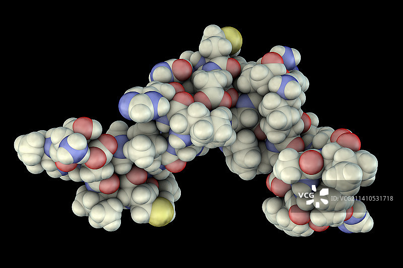 甲状旁腺激素分子模型图片素材