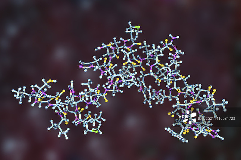 甲状旁腺激素分子模型图片素材