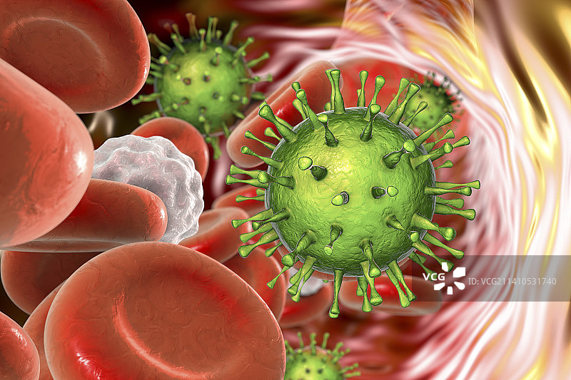 血液中的人巨细胞病毒图片素材