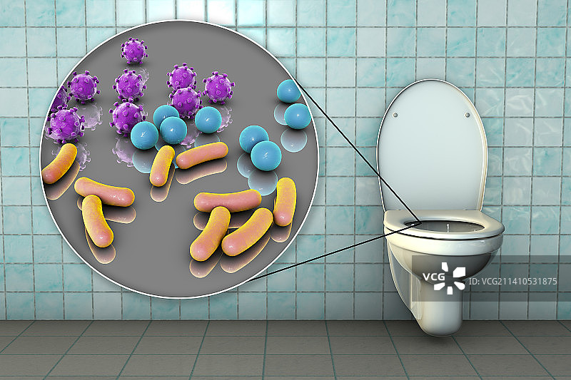 马桶微生物概念图图片素材