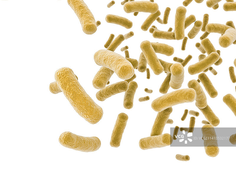 细菌,插图图片素材