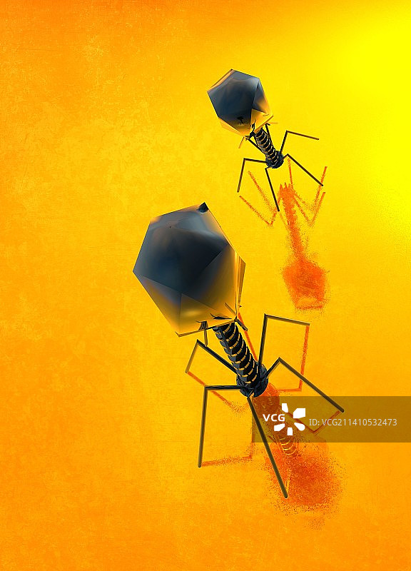 T4噬菌体病毒插画图片素材