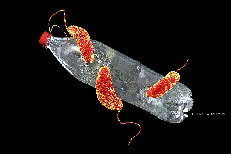 降解塑料的细菌，图示图片素材