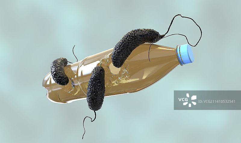 降解塑料的细菌，图示图片素材