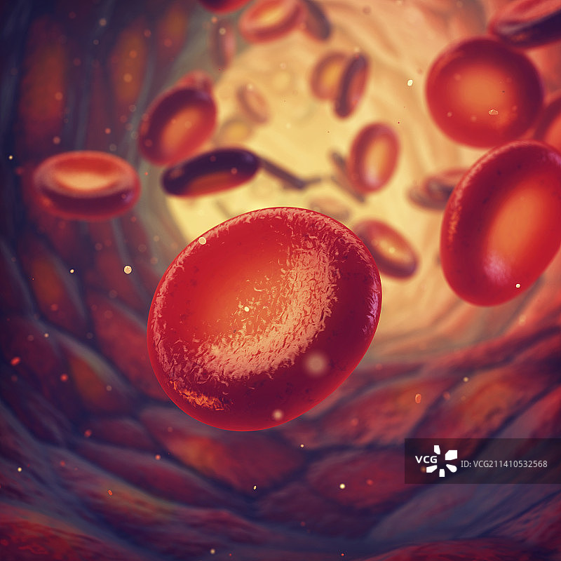 血管插图图片素材