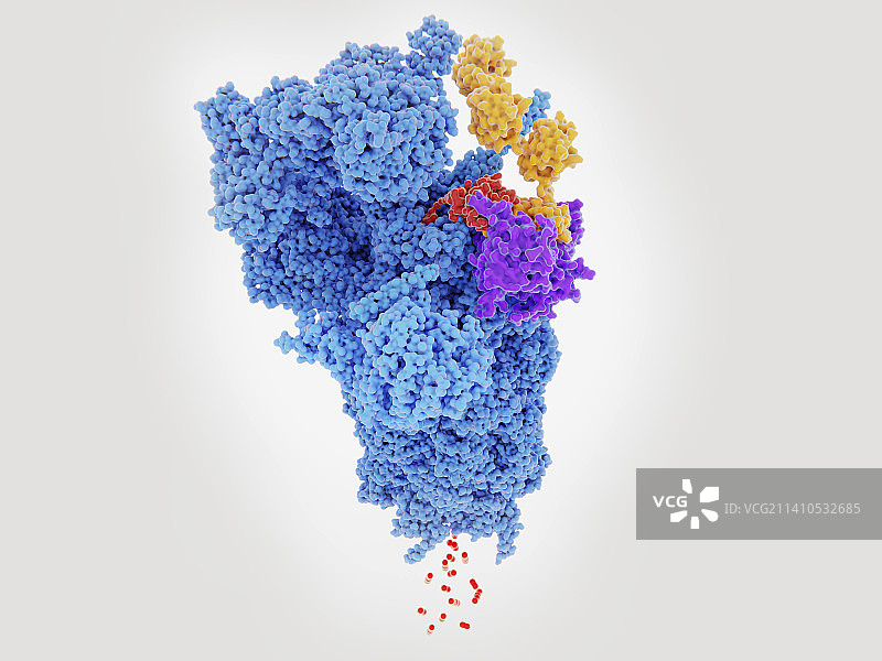 蛋白酶体示意图图片素材