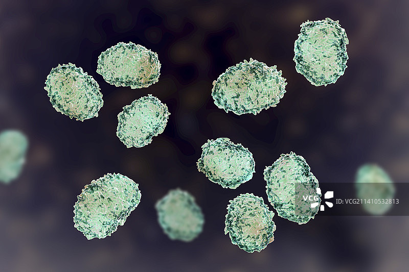 匍柄霉菌毒孢子插图图片素材