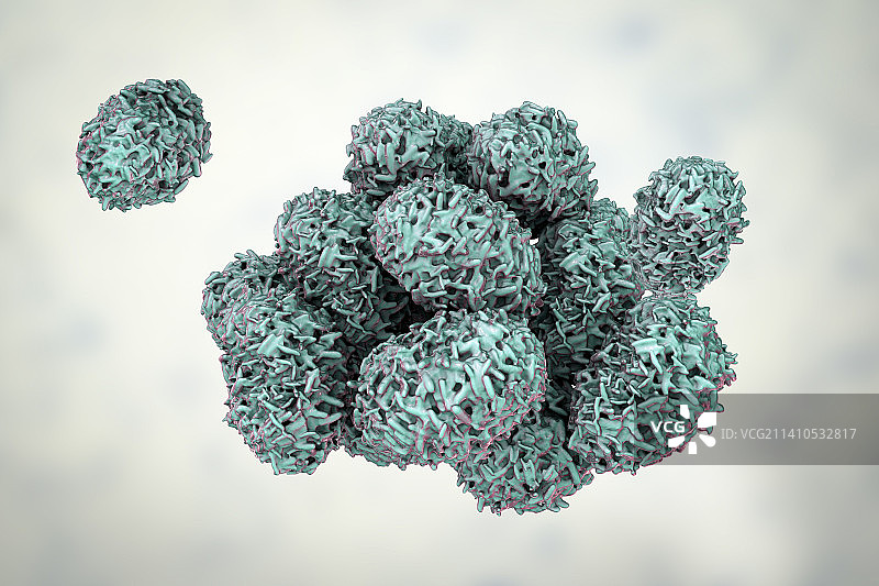 匍柄霉菌毒孢子插图图片素材