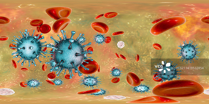 血液中的人巨细胞病毒图片素材
