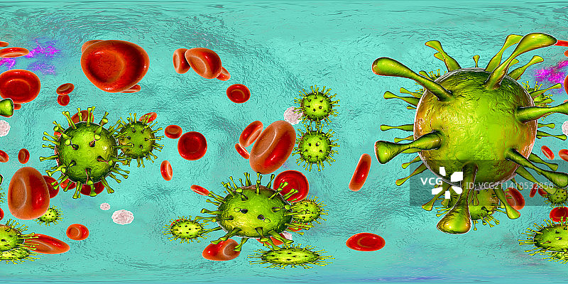 血液中的人巨细胞病毒图片素材