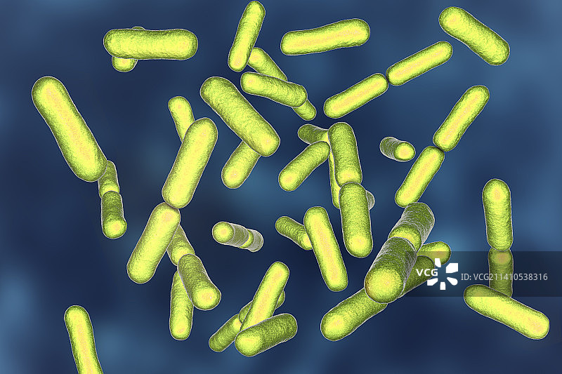 益生菌枯草芽孢杆菌，插图图片素材