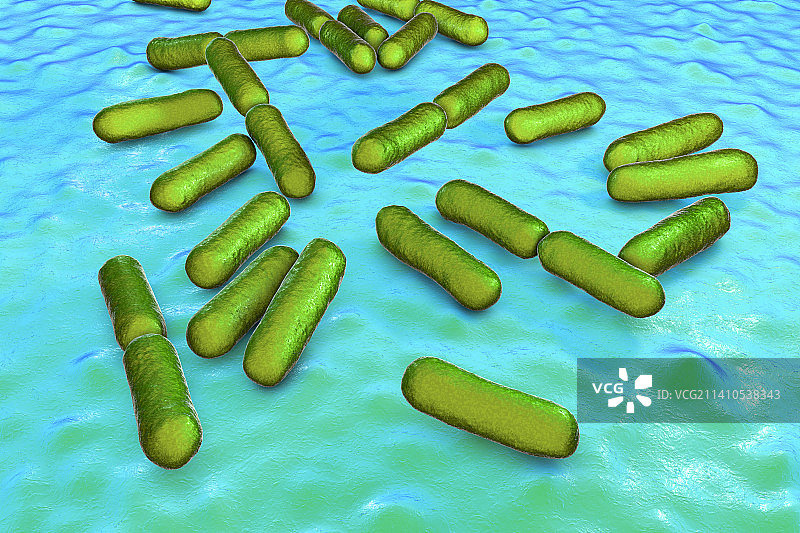 益生菌枯草芽孢杆菌，插图图片素材