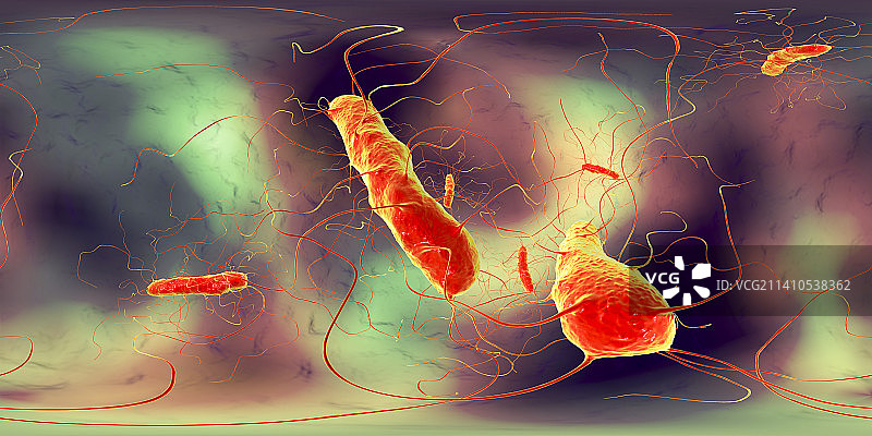 艰难梭菌示意图图片素材