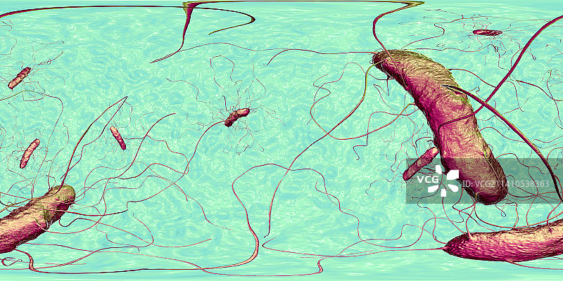 艰难梭菌示意图图片素材