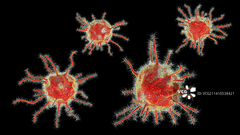 寄生微生物插画图片素材