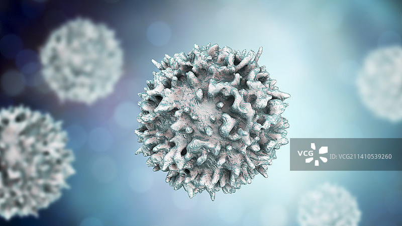 淋巴细胞插图图片素材