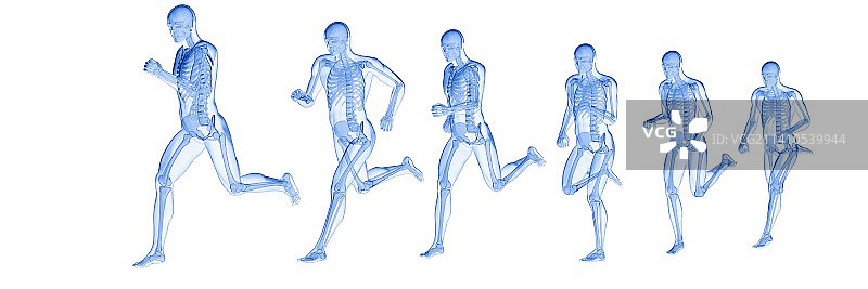 跑步者骨骼插画图片素材