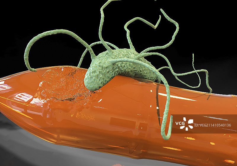 降解塑料的细菌，图示图片素材