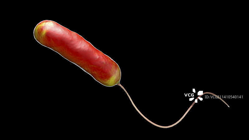 军团病细菌，图示图片素材