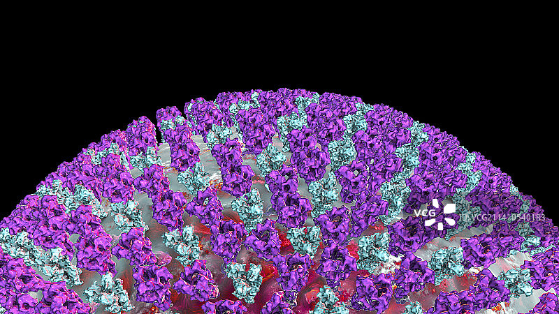 麻疹病毒插图图片素材