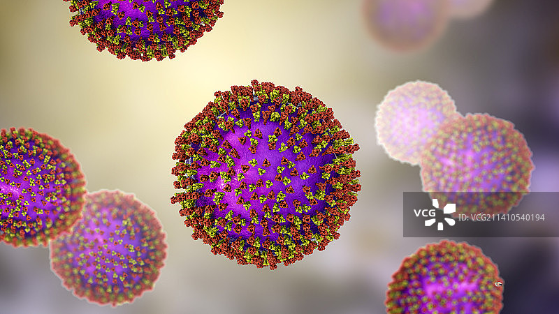 麻疹病毒插图图片素材