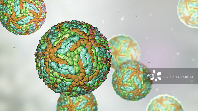 寨卡病毒示意图图片素材