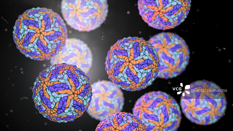 寨卡病毒示意图图片素材