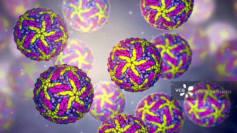 寨卡病毒示意图图片素材