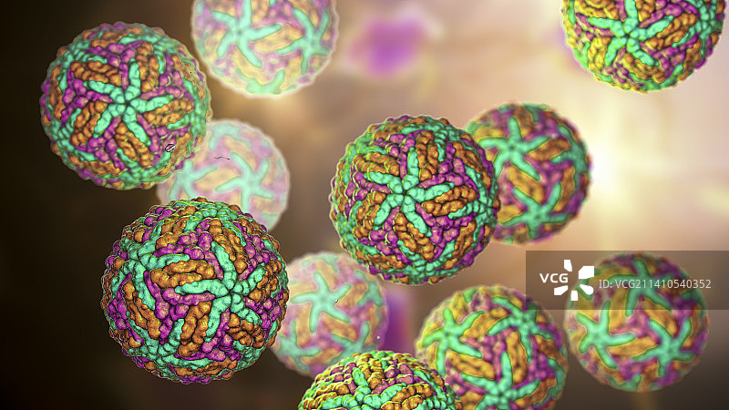 寨卡病毒示意图图片素材