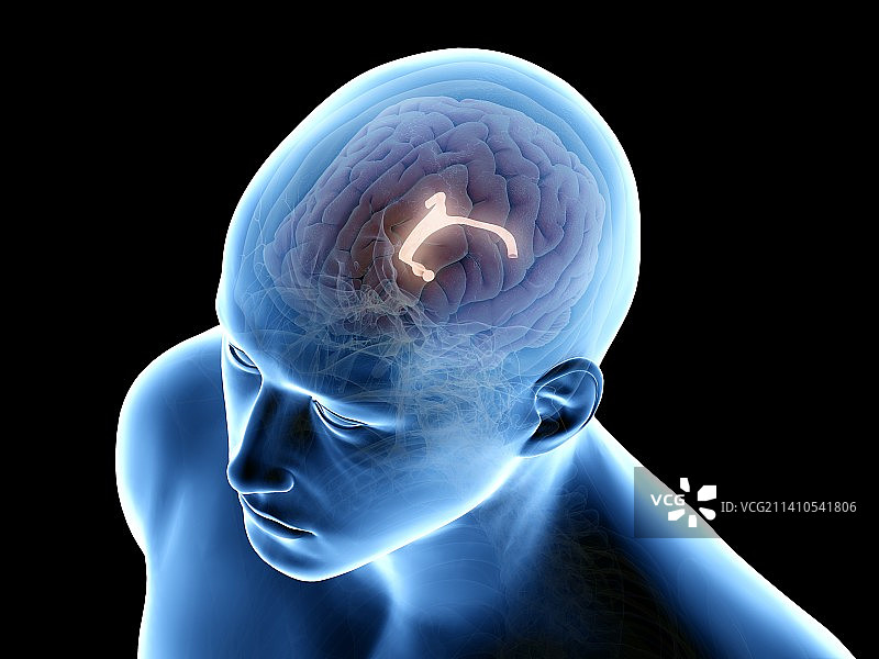 穹窿插画图片素材