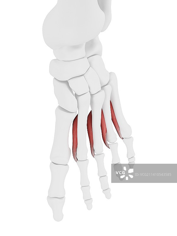 人际关系图标图片素材