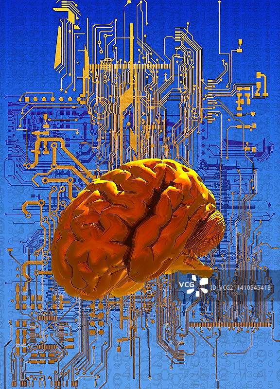 大脑与电路板插画图片素材