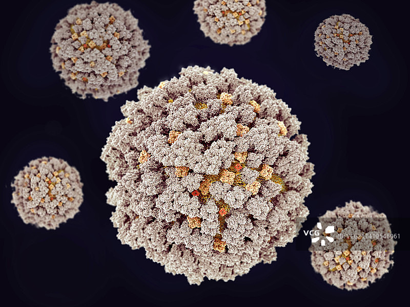 流感病毒颗粒，图示图片素材