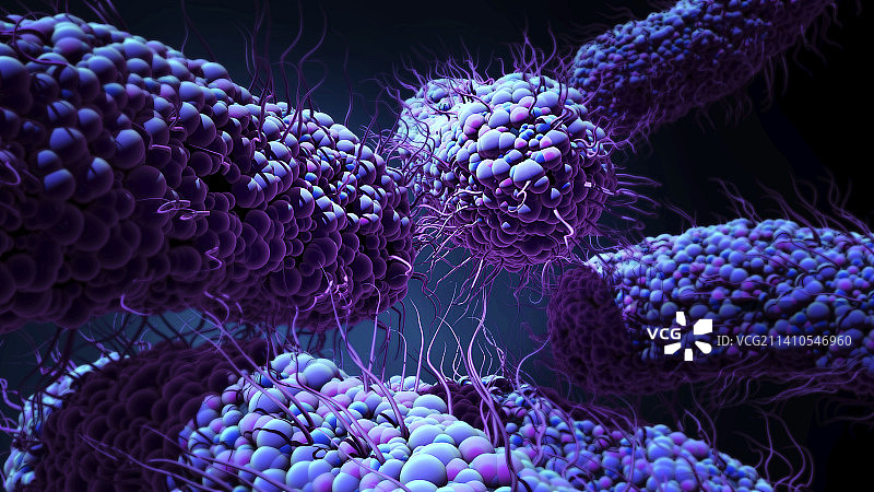 细菌,插图图片素材